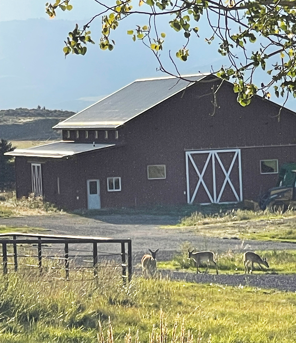 nice barn