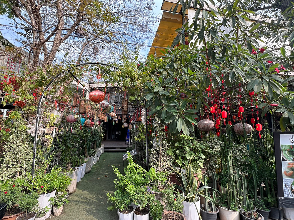 garden