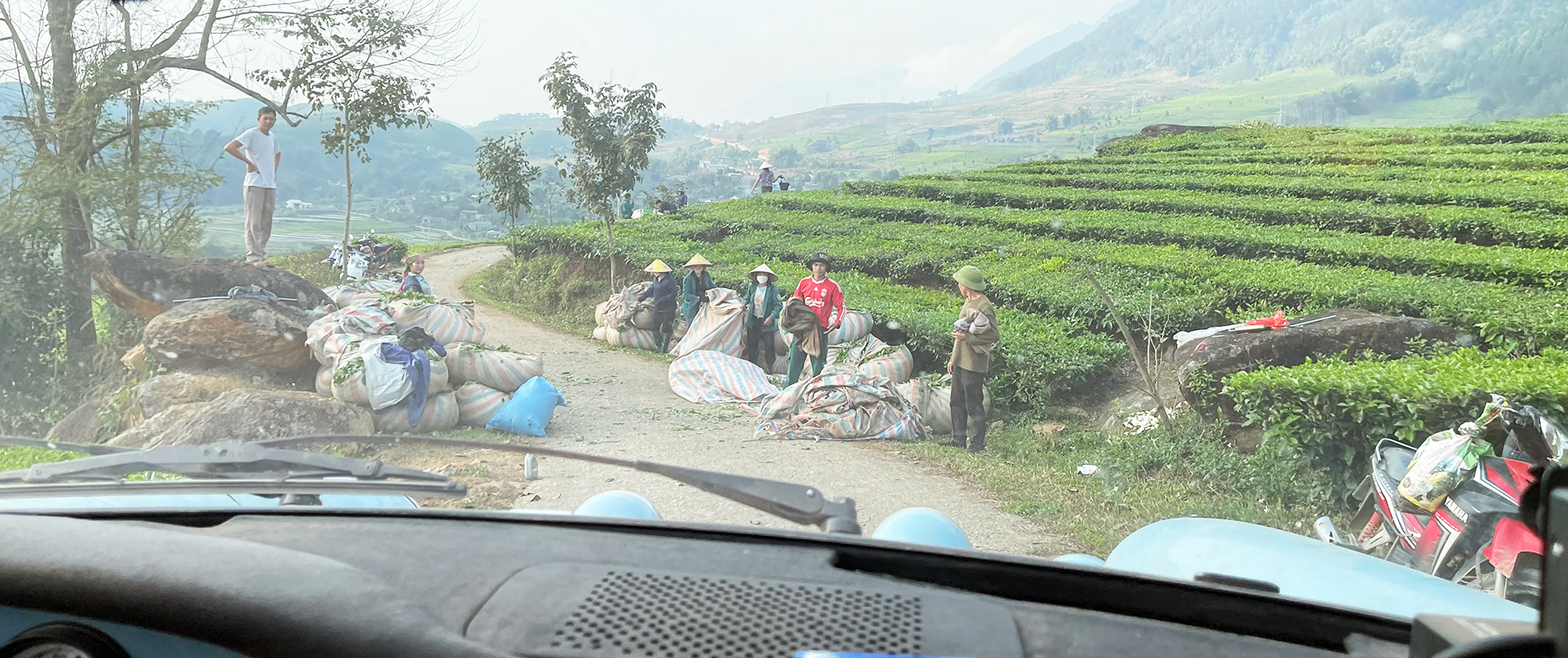 Terraced Farm
