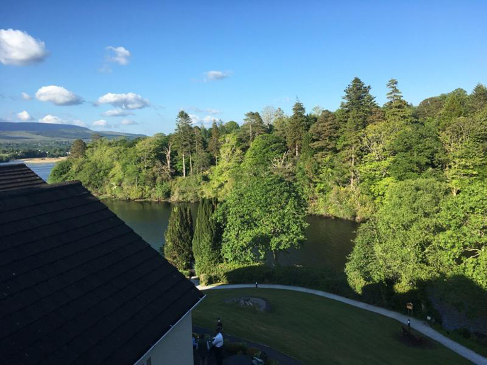 view